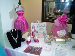 0435025operation_cinderella_general_display