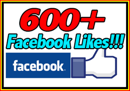 We have over 600 Facebook Likes!