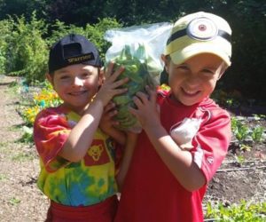 Kids growing organic lettuce