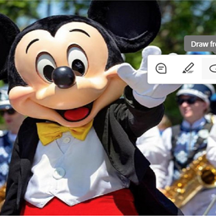 DTR Mickey 2024 square
