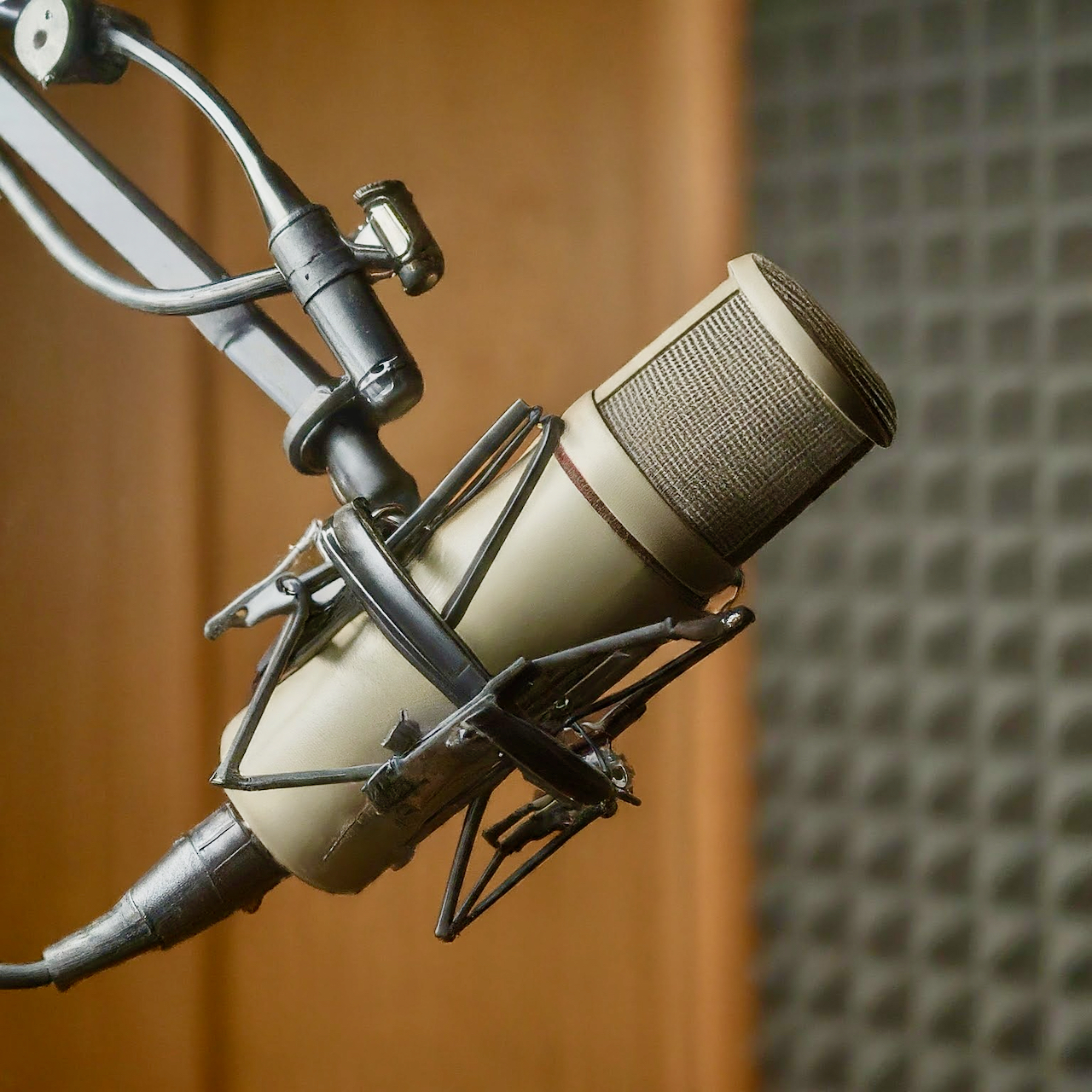 Radio Microphone Icon