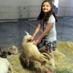 Assist-a-Shelter Petting Zoo at Family Supportive Housing