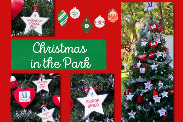 Christmas in the Park